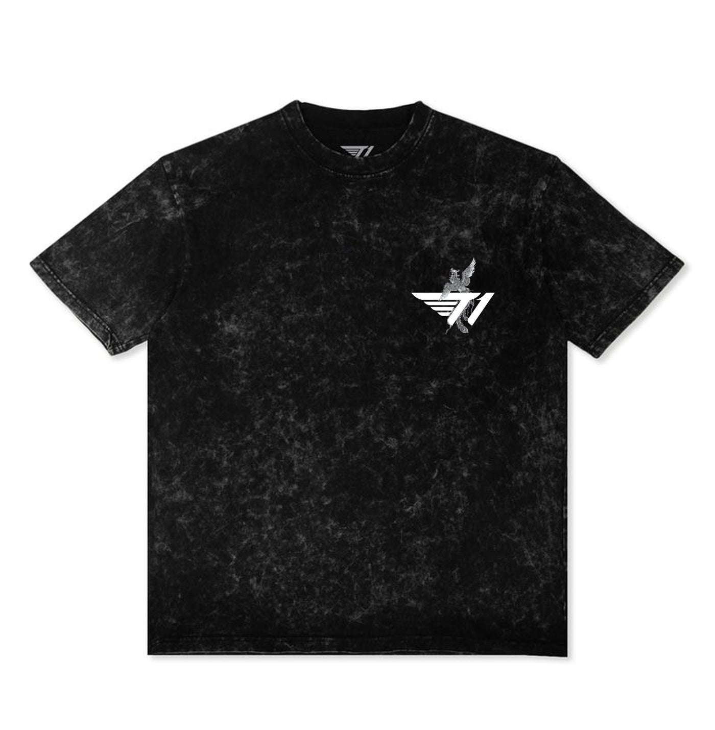 Twin Phoenix Tee - Acid Black – T1 Shop